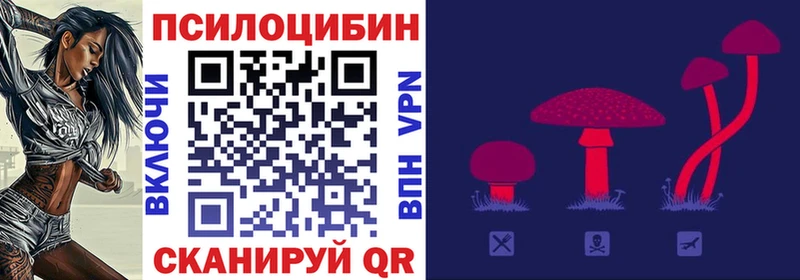 Псилоцибиновые грибы Cubensis Купить где Бахчисарай
